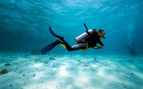 view of people doing snorkeling