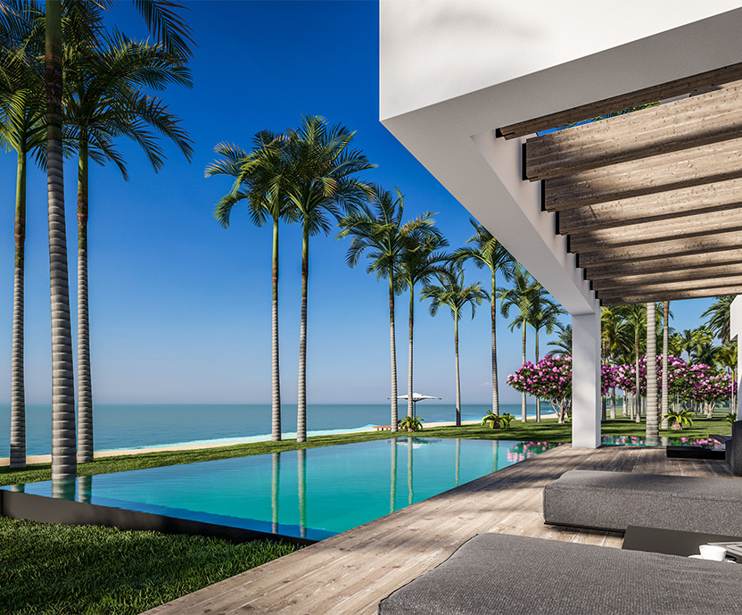 view of the pool and the palms in the background