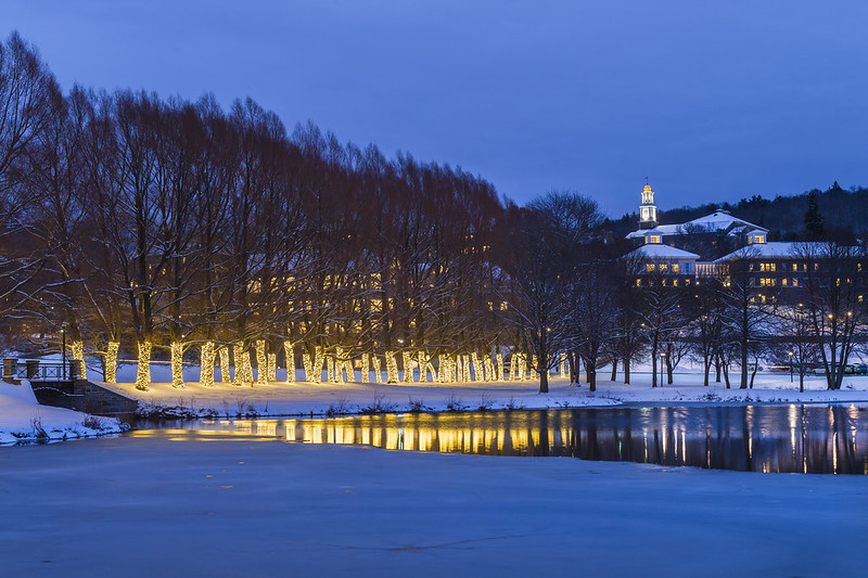 a snowy landscape with trees and lights