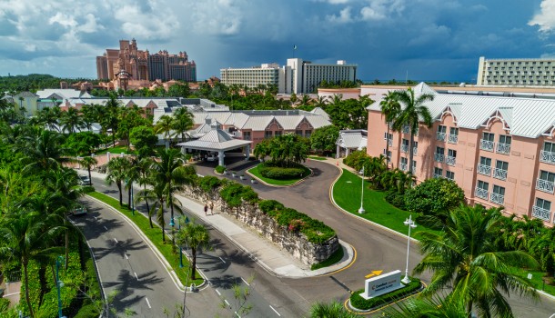 a street with palm trees and buildings