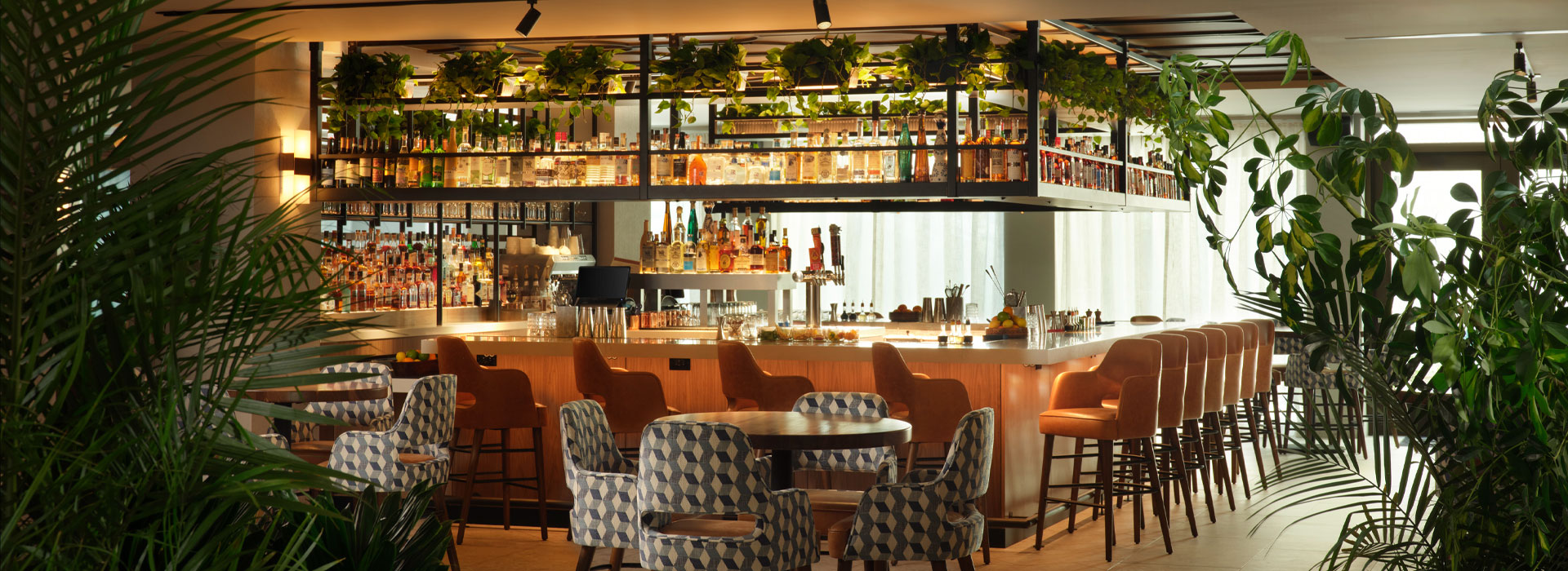 Urban an American Grill