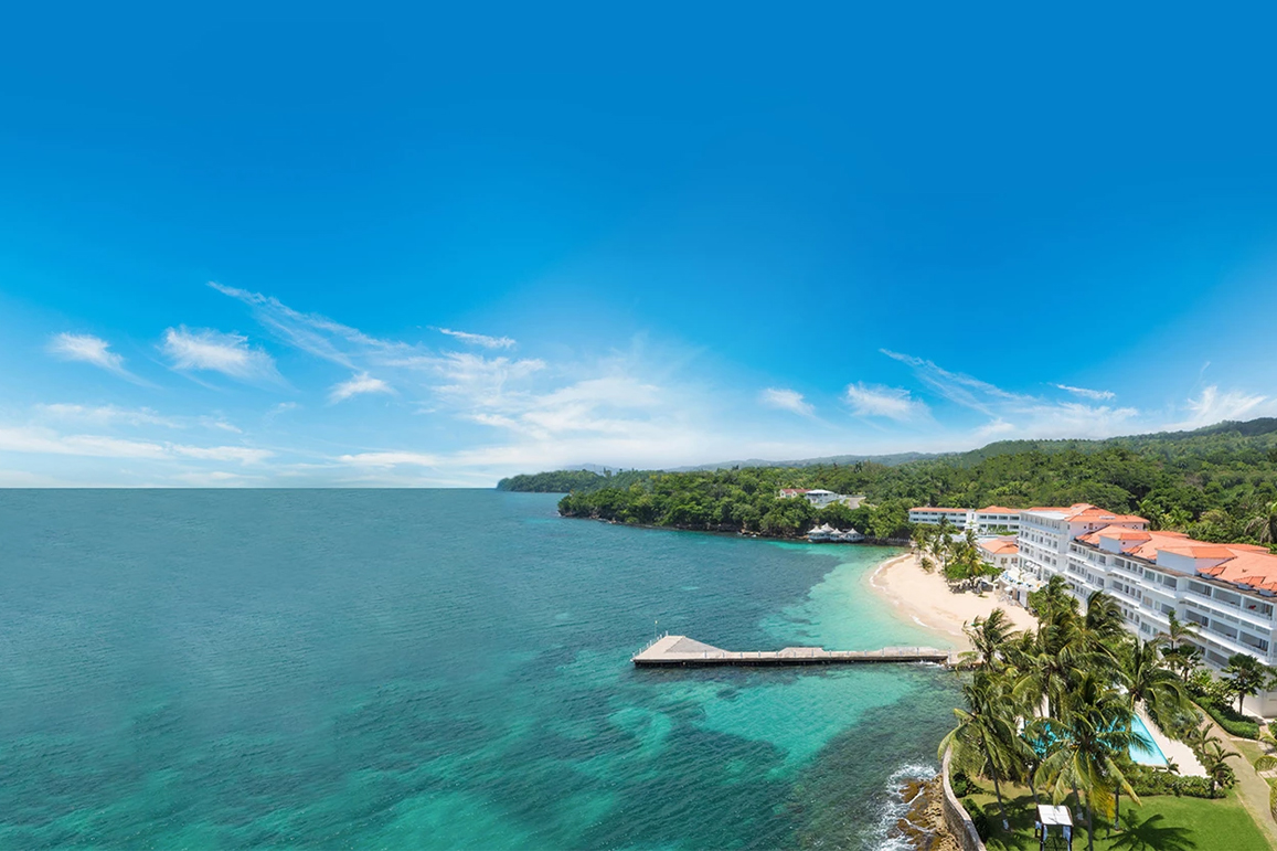a beach with a dock and trees