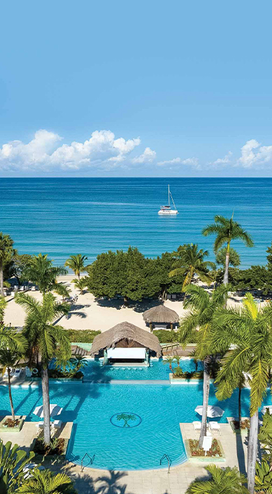 a beach with palm trees and a boat in the water