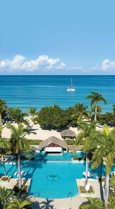 a beach with palm trees and a boat in the water