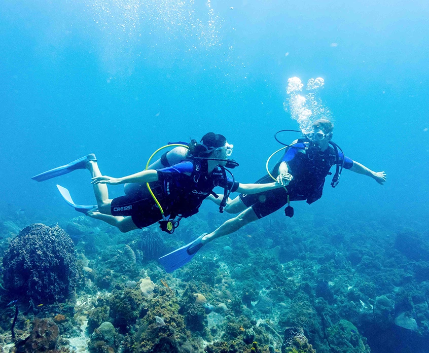 a couple of people scuba diving under water