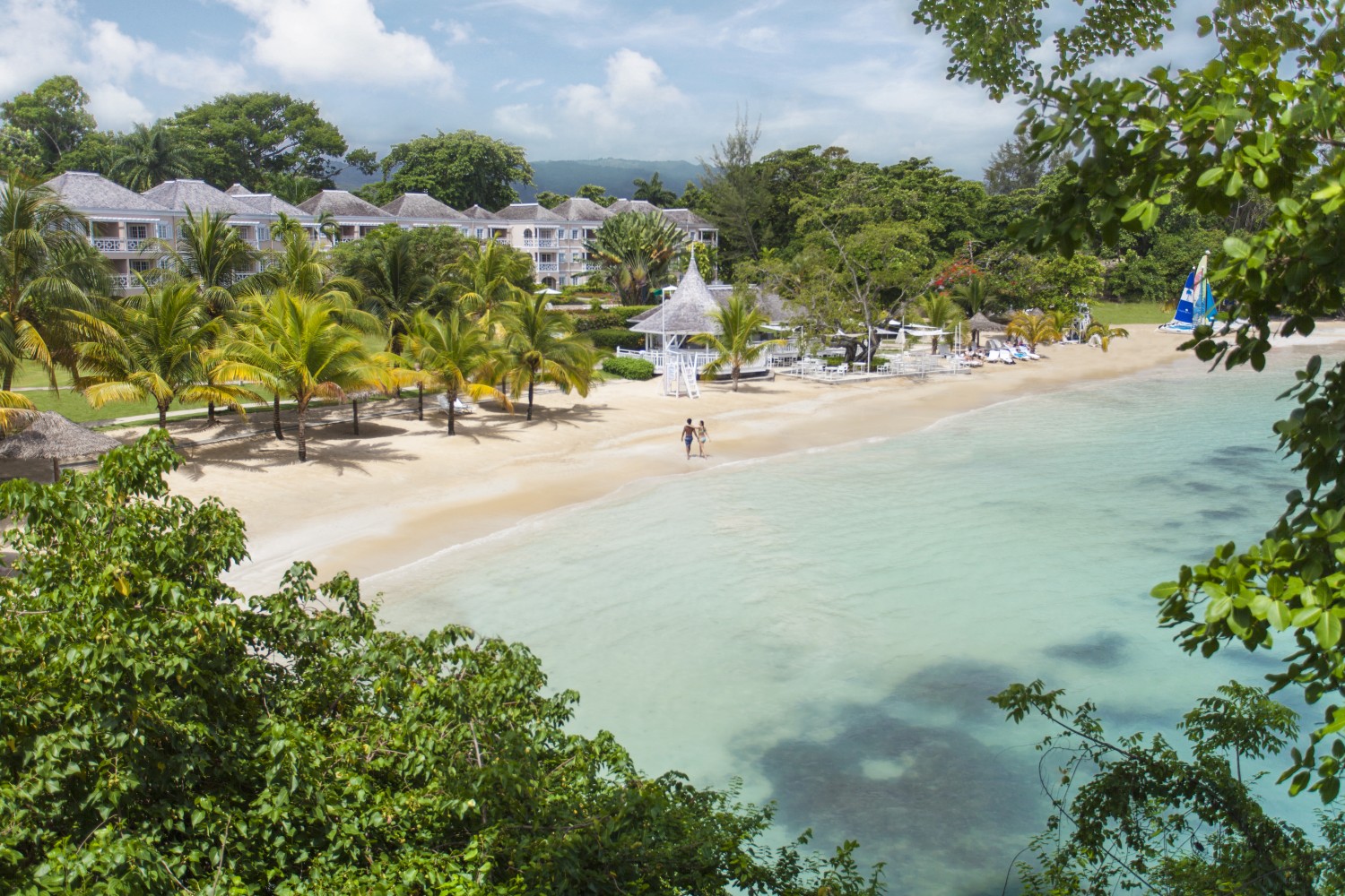 a beach with palm trees and buildings