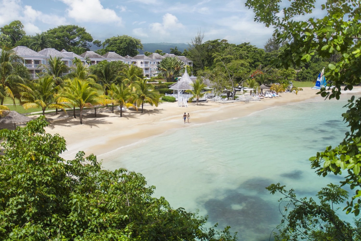 a beach with palm trees and buildings