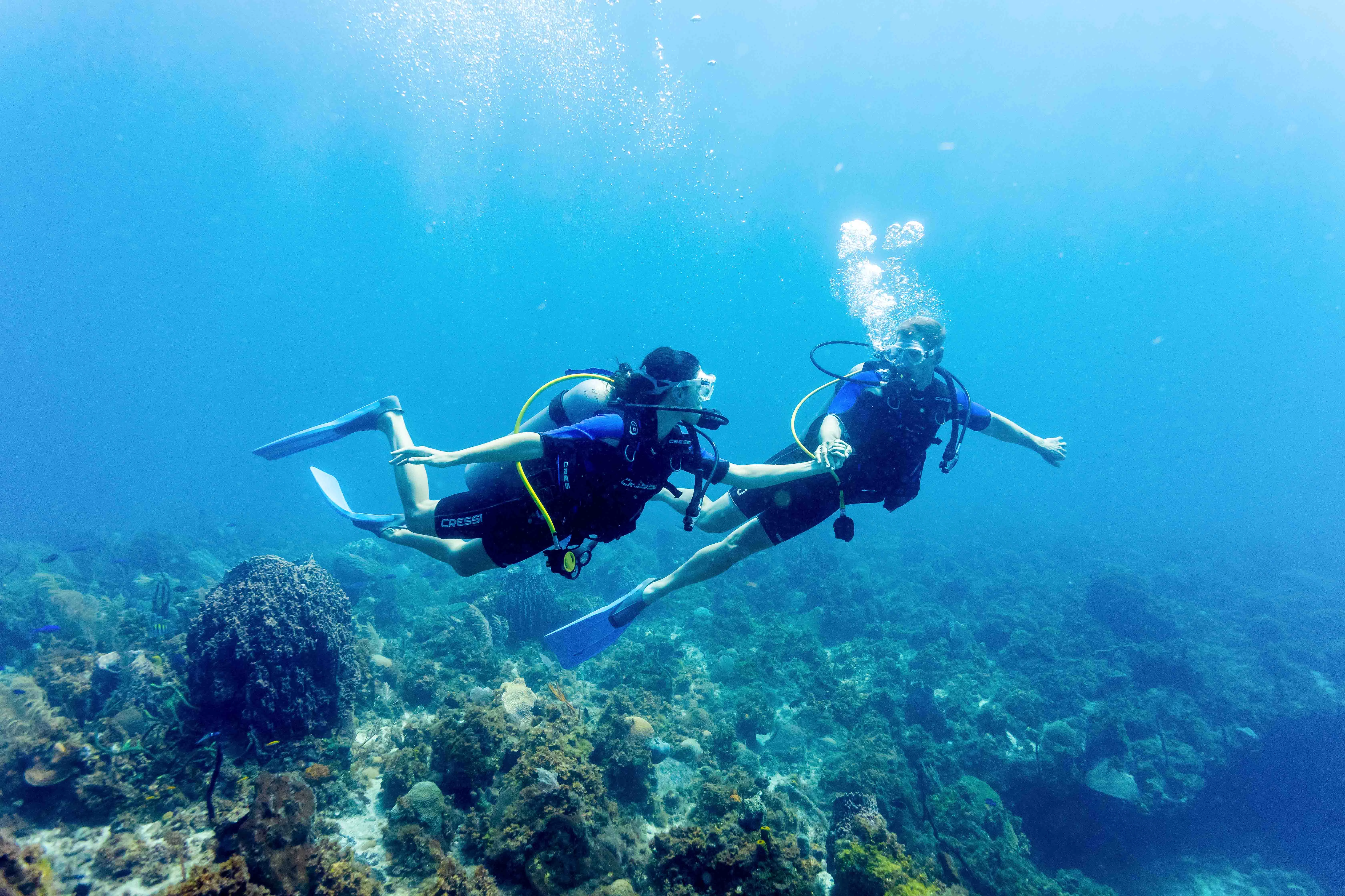 a couple of people scuba diving under water