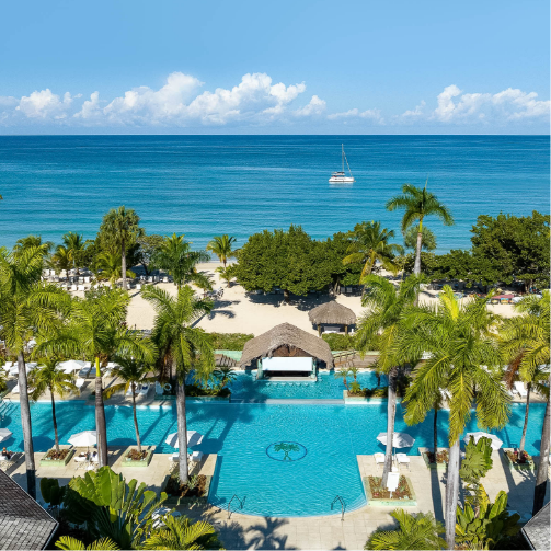 a pool and palm trees by the ocean