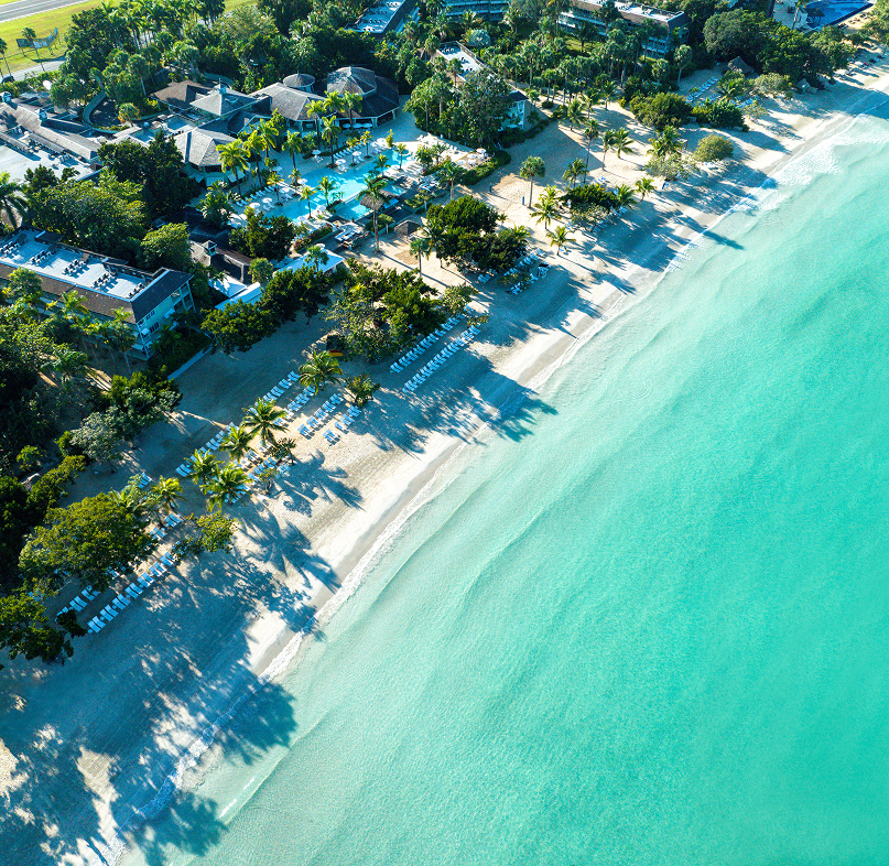 a beach with buildings and trees