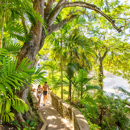 a man and woman walking down a path in a tropical forest