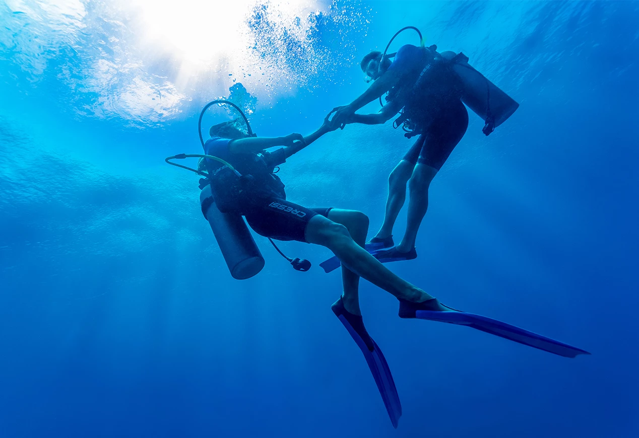a couple of scuba divers holding hands