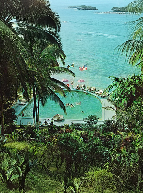 a pool with people swimming in it and palm trees