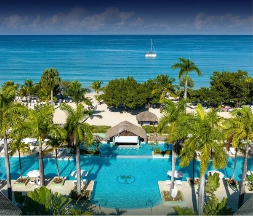a pool with palm trees and a boat in the water