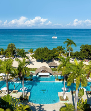 a pool with palm trees and a boat in the water