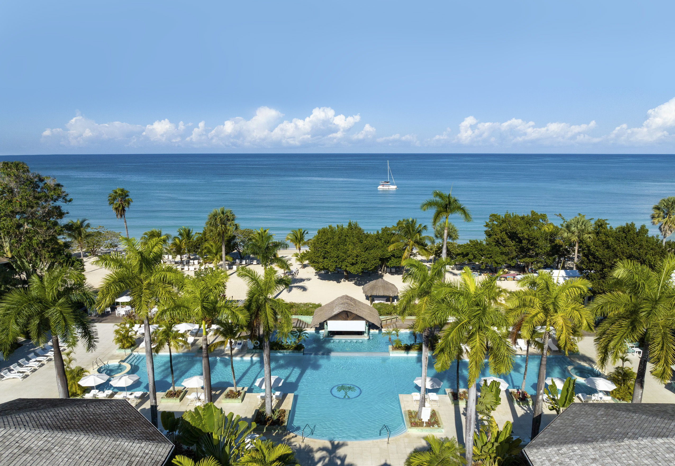 a pool and palm trees by the ocean