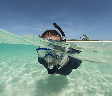 Snorkeling Tours image