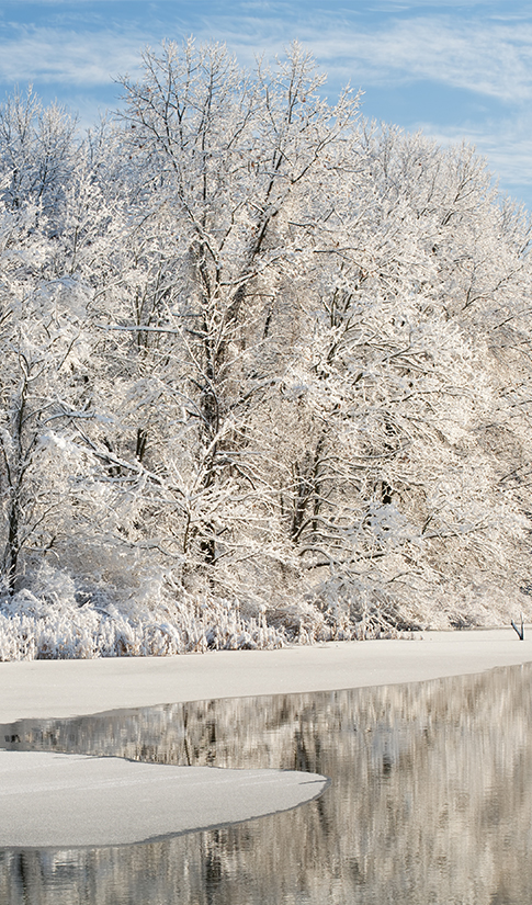 a snowy landscape with trees and a body of water