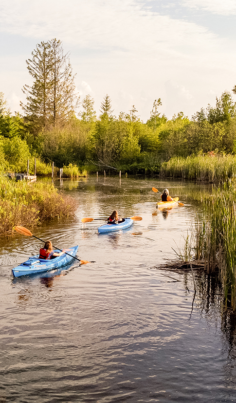a group of people in kayaks on a river
