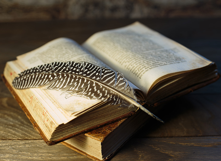 a feather on top of an open book