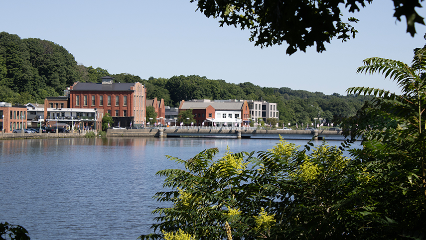 a body of water with buildings and trees