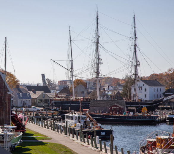 a group of boats in a harbor