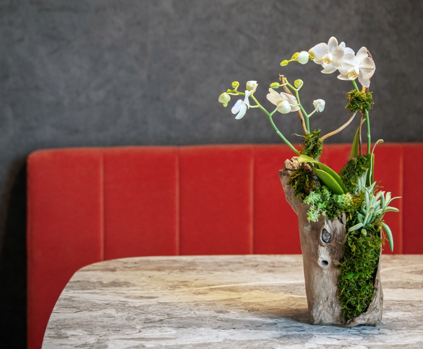 a plant in a vase