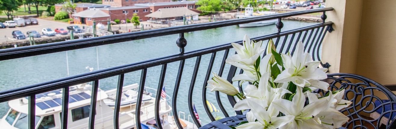 a white flowers on a balcony overlooking a body of water