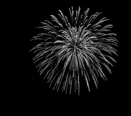 a fireworks exploding in the sky