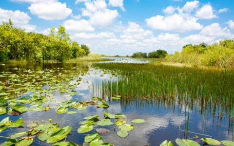 everglades florida