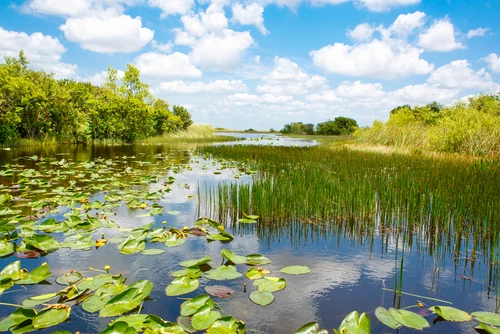 everglades florida