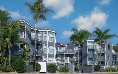 blue buildings with palm trees in front