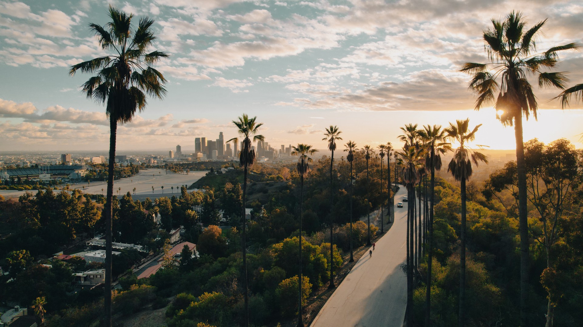 a road with palm trees and a city in the background