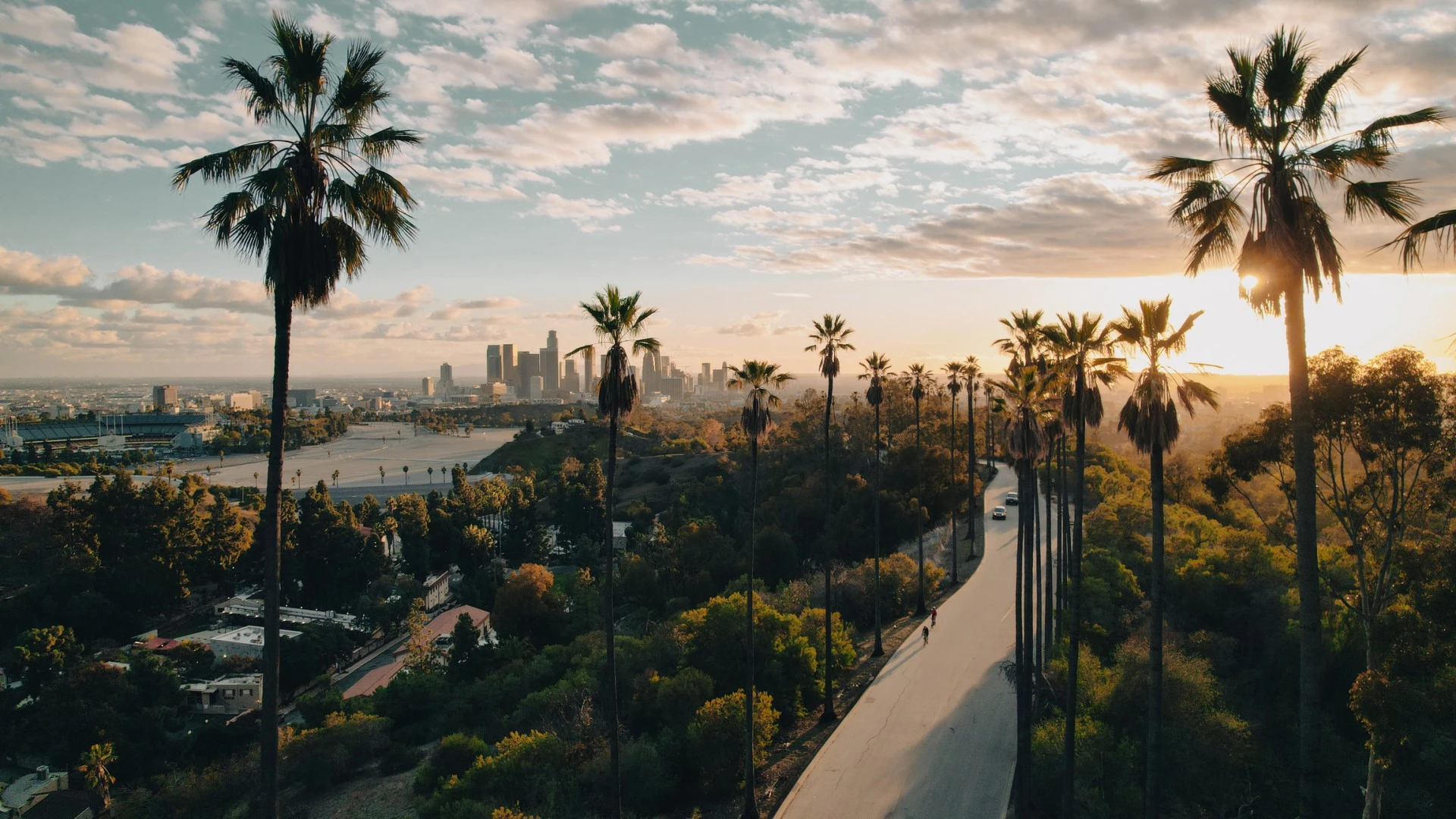 a road with palm trees and a city in the background