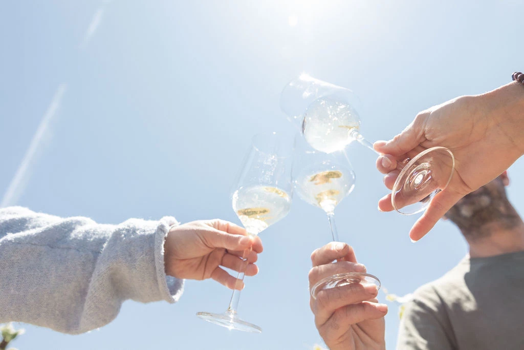 a group of people holding wine glasses