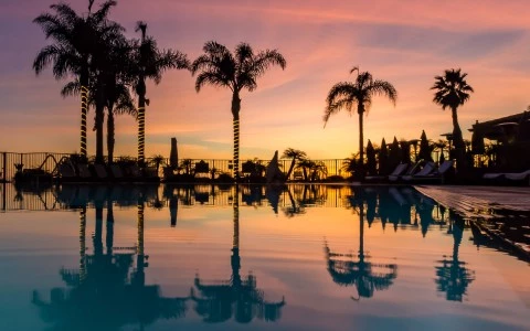 sun setting on the water with tall palm trees
