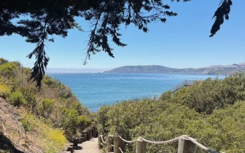 a path leading to a beach