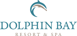 dolphin homepage logo color
