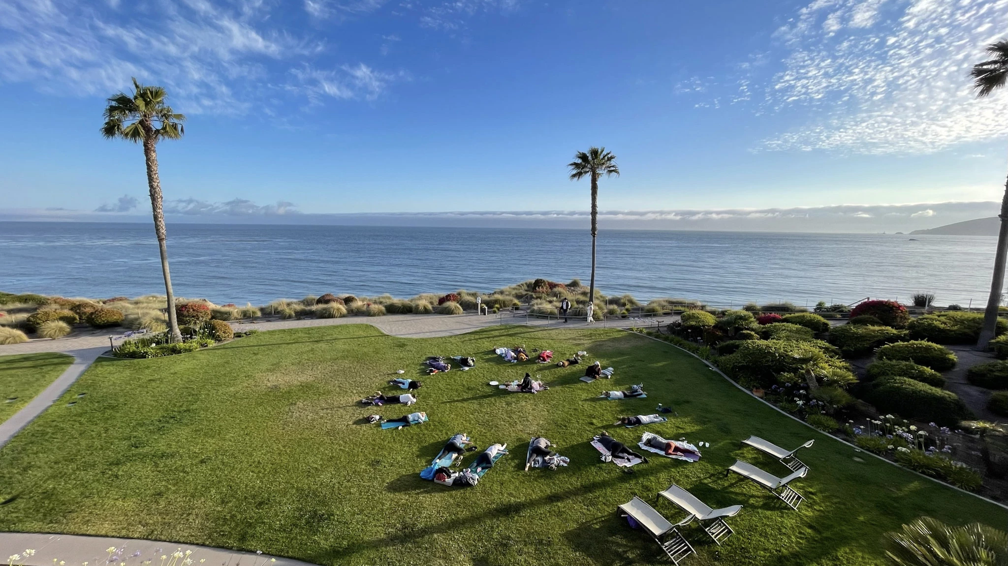 a group of people lying on grass in a circle with a palm tree and water in the background