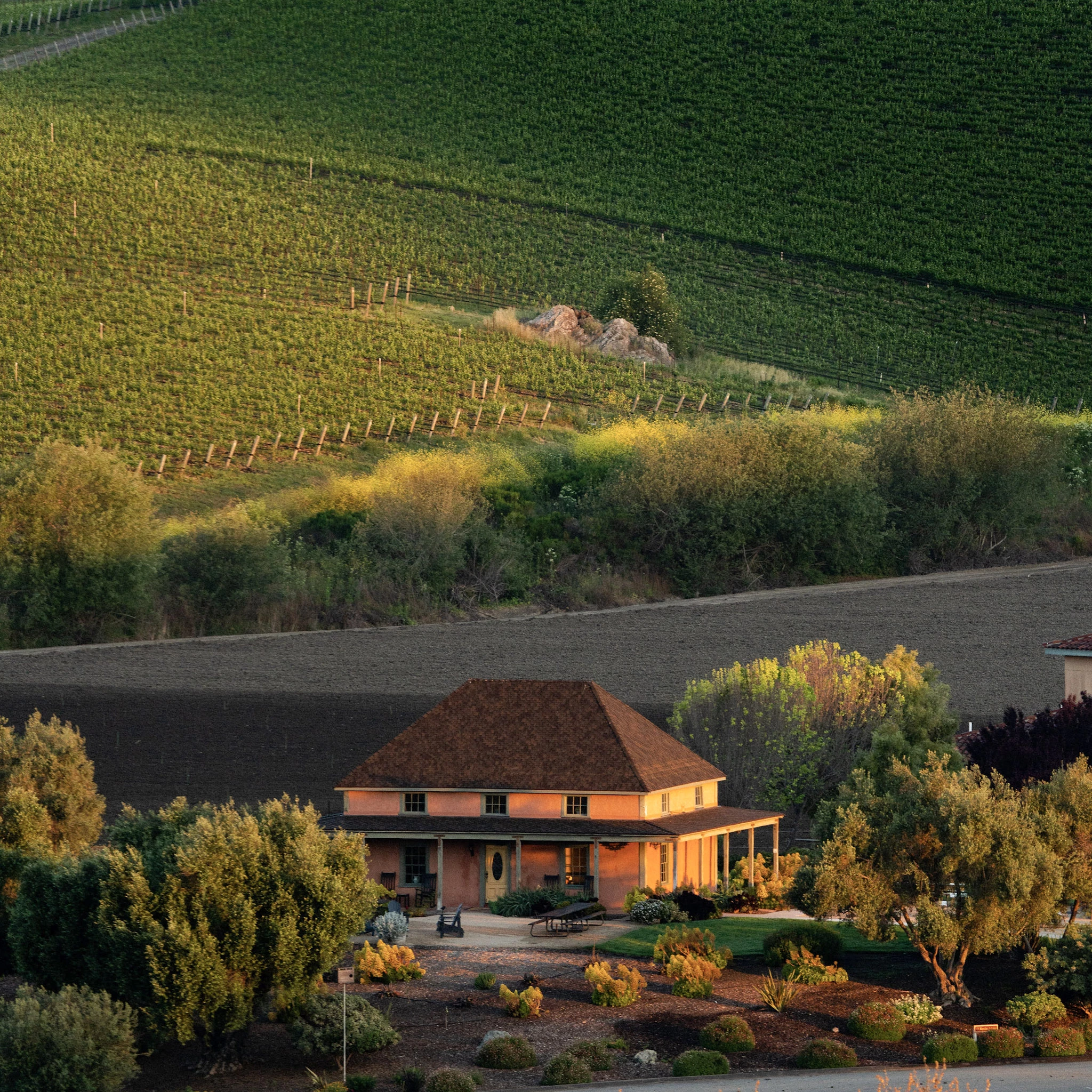 a house in a vineyard