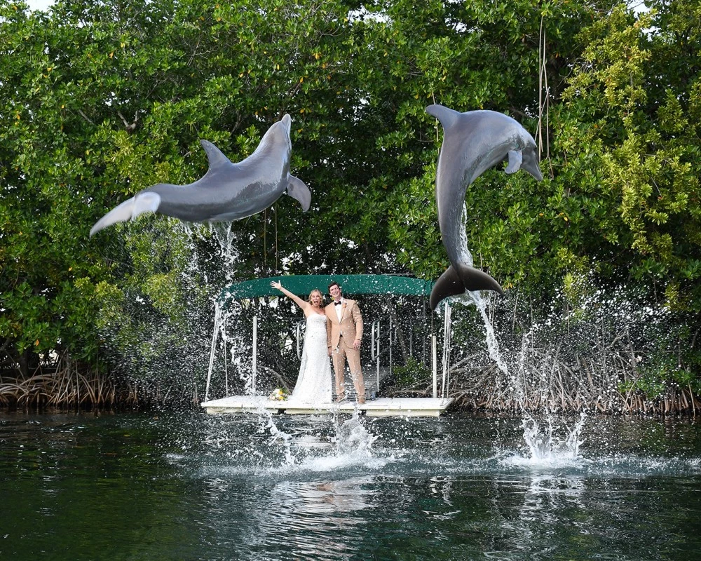 a couple in wedding dress on a boat with dolphins jumping out of the water