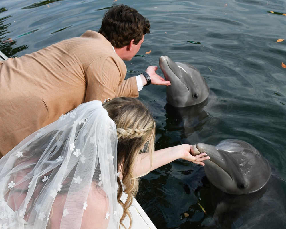 a man and woman petting a dolphin in the water