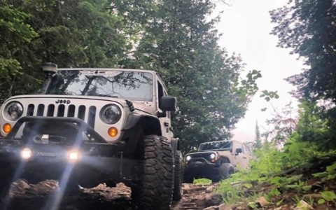 two gray jeeps with surrounding trees 