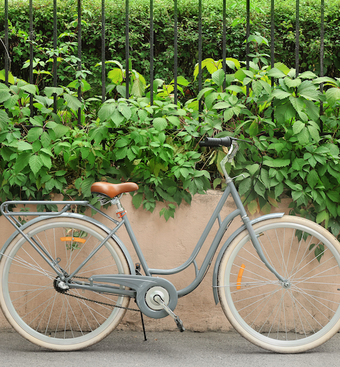 complimentary bikes