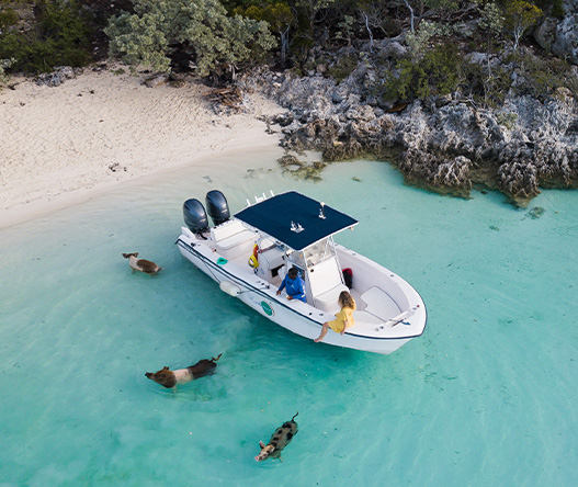 a boat with people on it and dogs swimming in the water