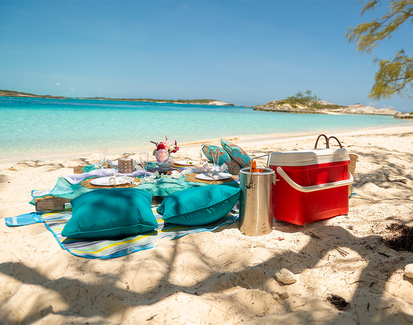 a picnic on a beach