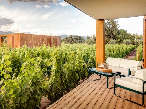 a patio with a table and chairs in front of a field of plants