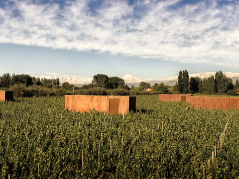 a large field of plants with a building in it