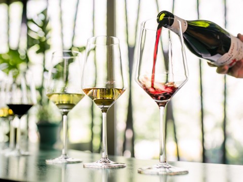 a person pouring wine into a glass