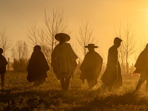 a group of people walking in a field